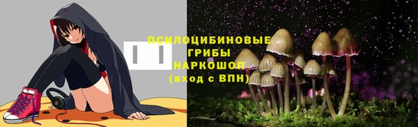 сатива Арсеньев