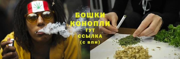 сатива Арсеньев