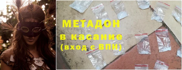 прущие грибы Алзамай