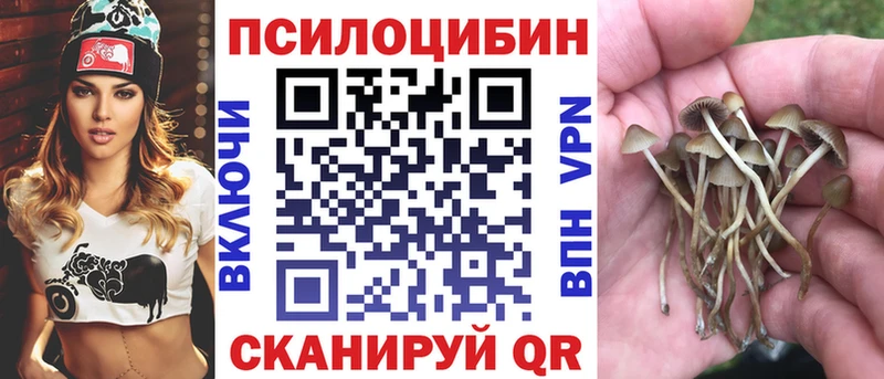 наркошоп  Петухово  Псилоцибиновые грибы прущие грибы 